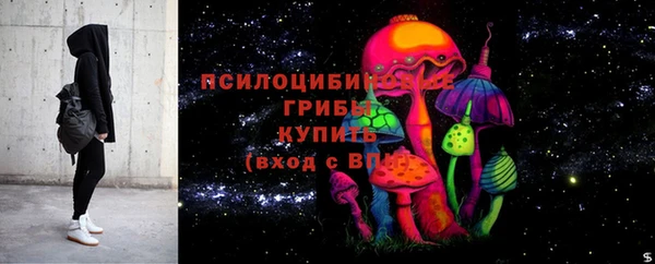 бошки Алексин