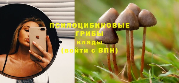 бошки Алексин