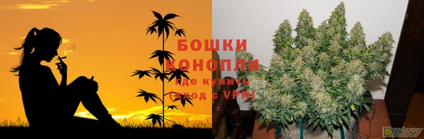 бошки Алексин
