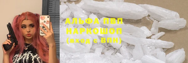 мяу мяу мука Алзамай