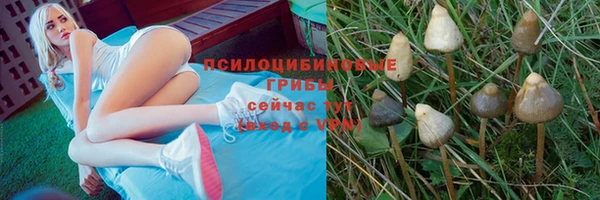 бошки Алексин