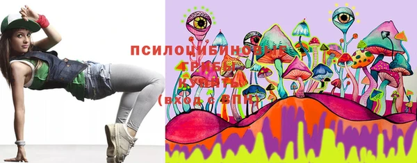 бошки Алексин