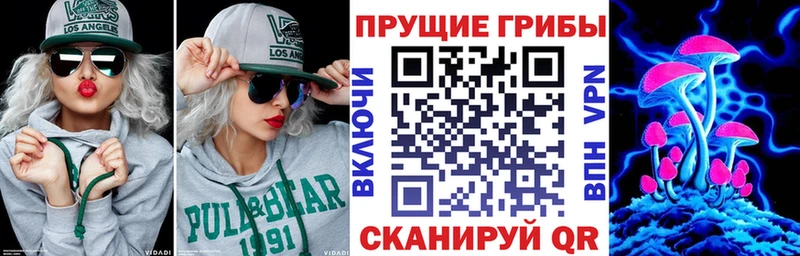 Галлюциногенные грибы Psilocybine cubensis  Калтан 